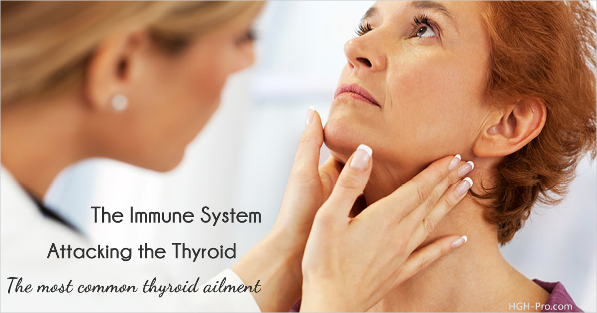 Thyroid Autoimmune Disorders - The Most Common Thyroid Ailments